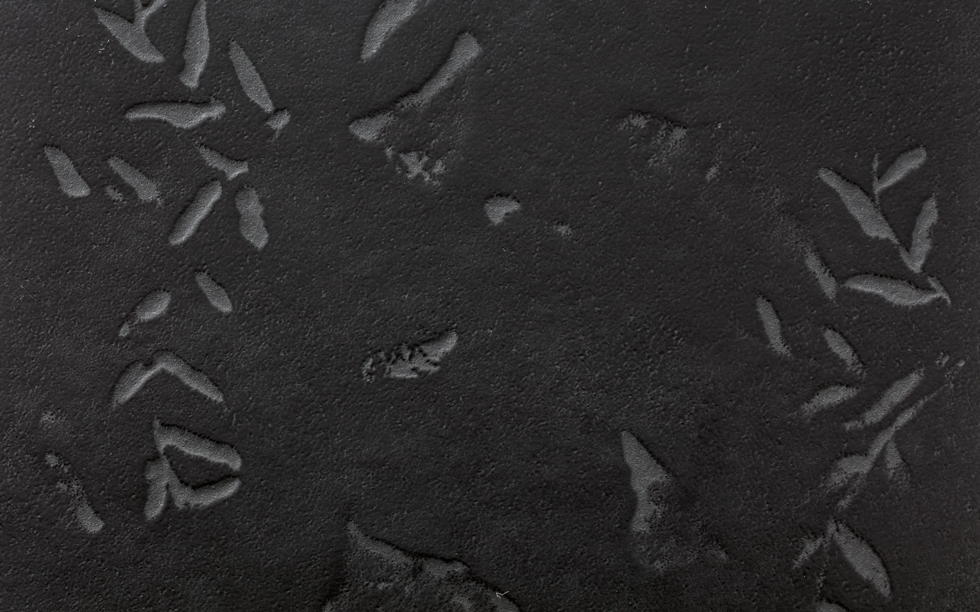 Chymia Impronta Black