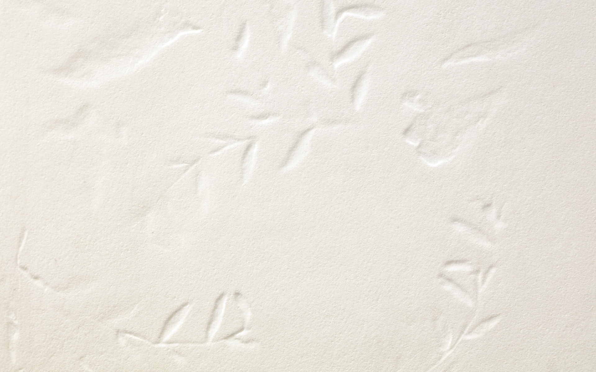 Chymia Impronta White