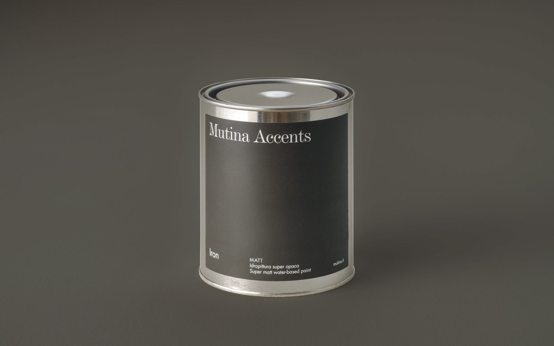 Accents Paints Matt Iron